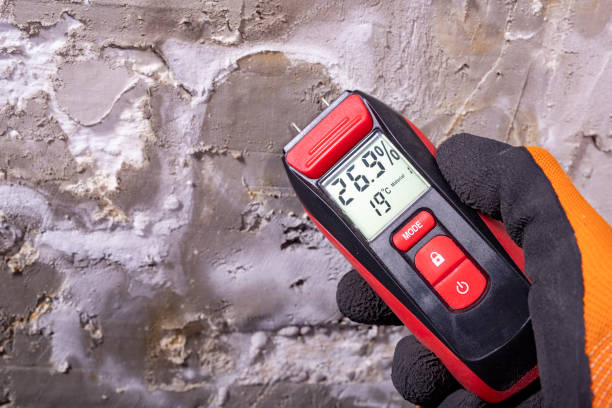 Best Same-Day Mold Removal  in Jonesville, NC