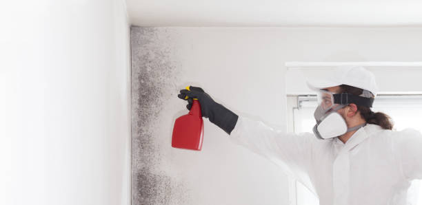 Best Mold Testing  in Jonesville, NC