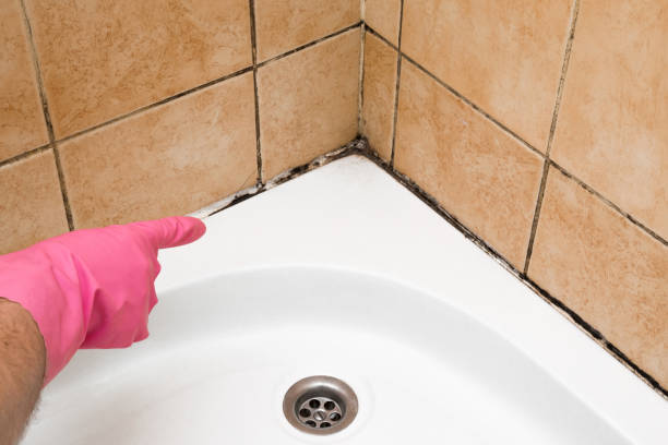 Best Crawl Space Mold Removal  in Jonesville, NC